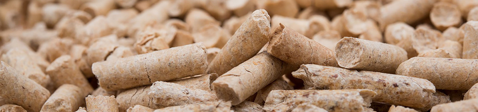 pellets
